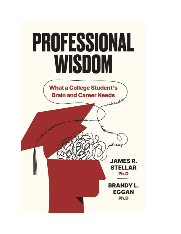 Professional Wisdom book cover